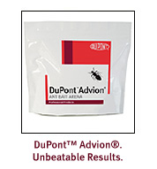 Advion ant bait arena