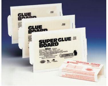 catchmaster glue board