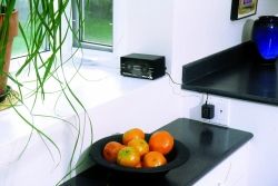 Sonic and Ultrasonic Pest Repellent Device for bugs in Kitchen