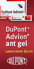 antgel-120-240.gif