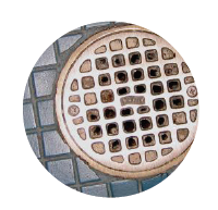 drain-biozyme.png