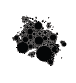 foam-biozyme.png