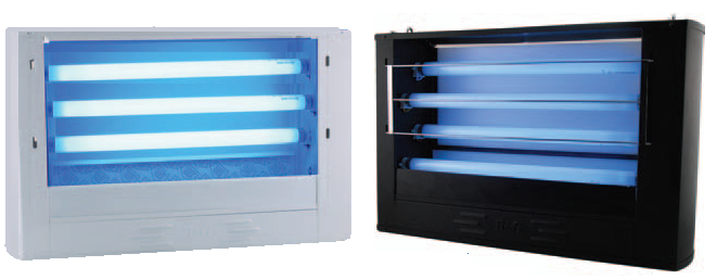 matrix-fly-light.png